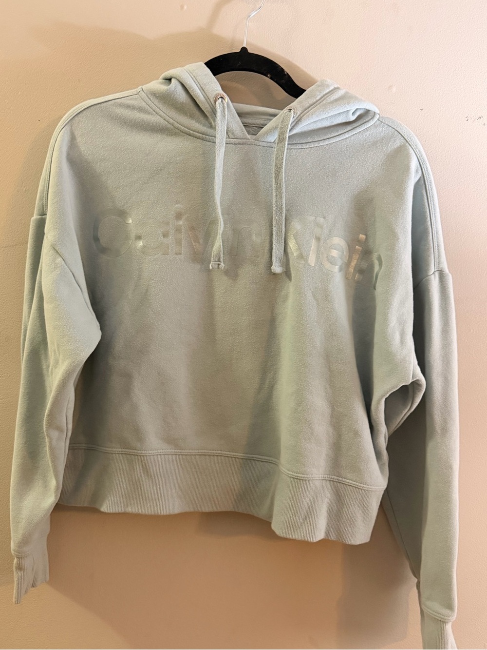 Calvin Klein Women's Light Blue Logo Hoodie